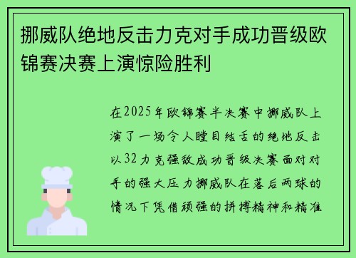 挪威队绝地反击力克对手成功晋级欧锦赛决赛上演惊险胜利