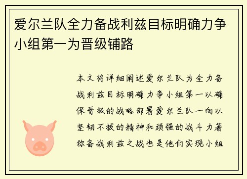 爱尔兰队全力备战利兹目标明确力争小组第一为晋级铺路
