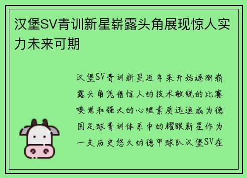 汉堡SV青训新星崭露头角展现惊人实力未来可期
