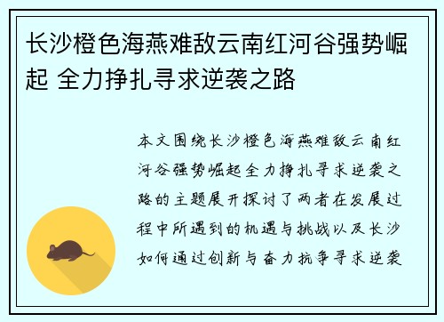 长沙橙色海燕难敌云南红河谷强势崛起 全力挣扎寻求逆袭之路